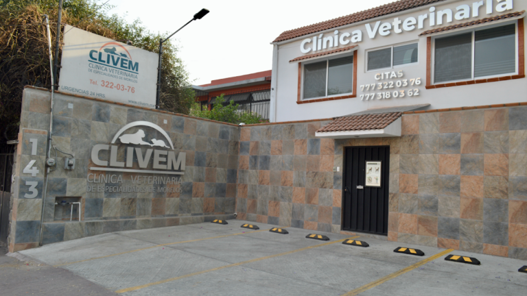 104374 clinica veterinaria de especialidades de morelos 768x432