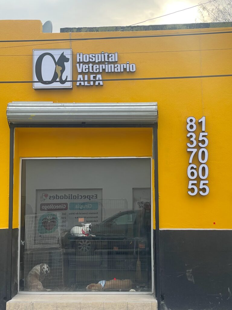 104378 hospital veterinario alfa 768x1024