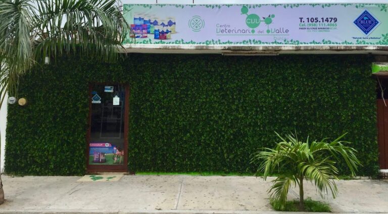104388 centro veterinario del valle 768x424