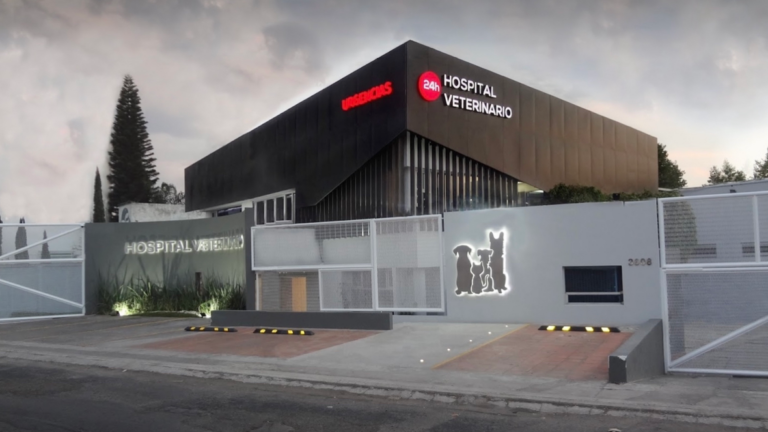 104409 hospital veterinario de puebla unidad recta 247 768x432