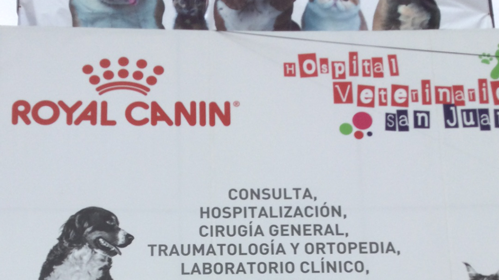 104420 hospital veterinario san juan 1024x576