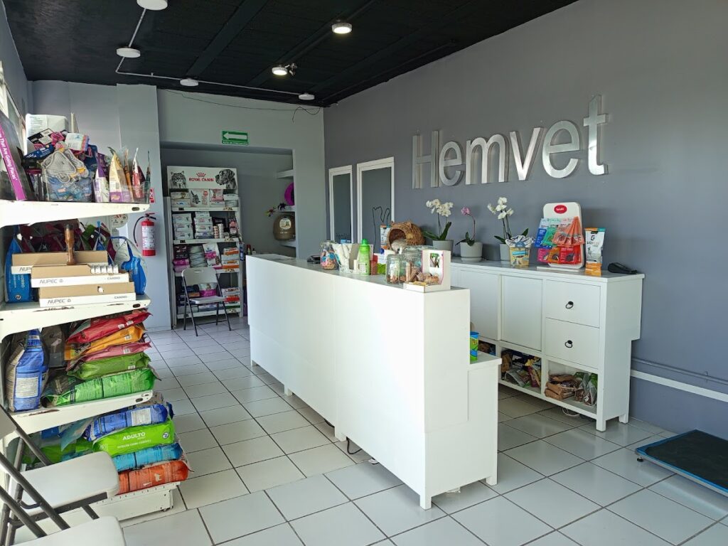 104422 hemvet hospital veterinario 1024x768
