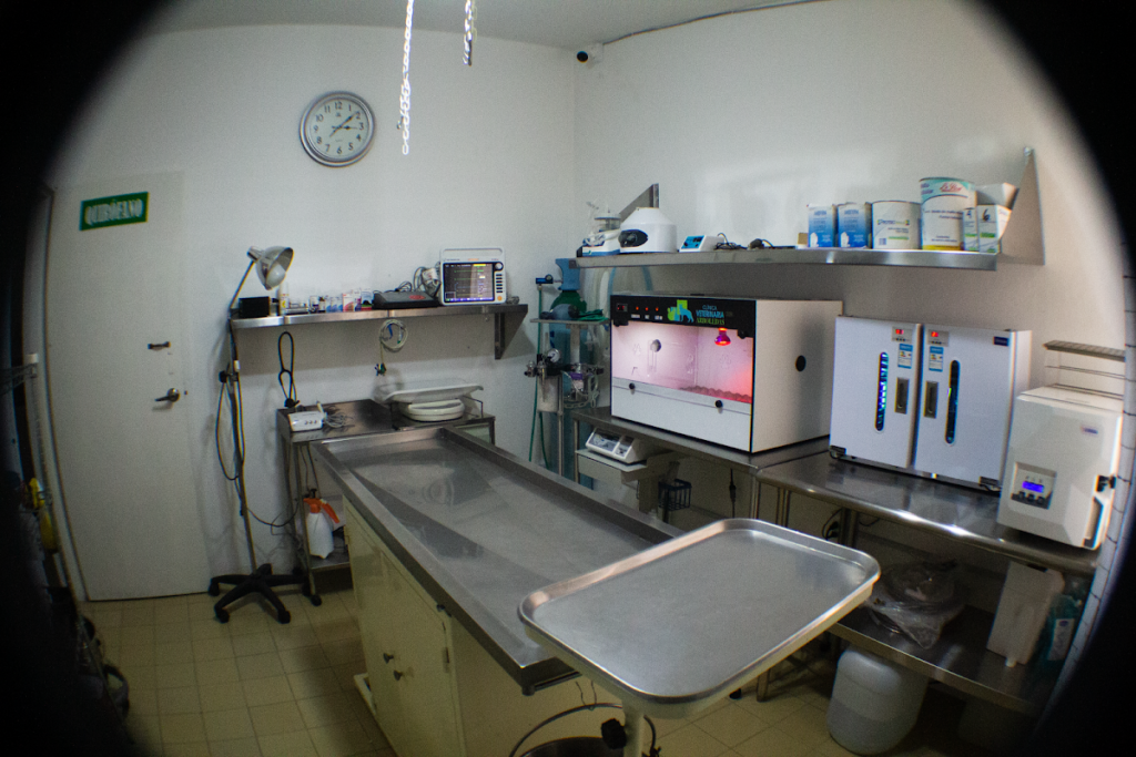 104431 clinica veterinaria arboledas 1024x683