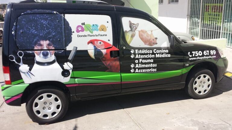 104440 hospital veterinario chapultepets congreso 768x432