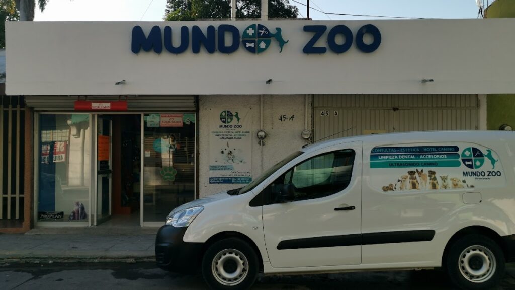 104442 veterinaria mundo zoo 1024x576