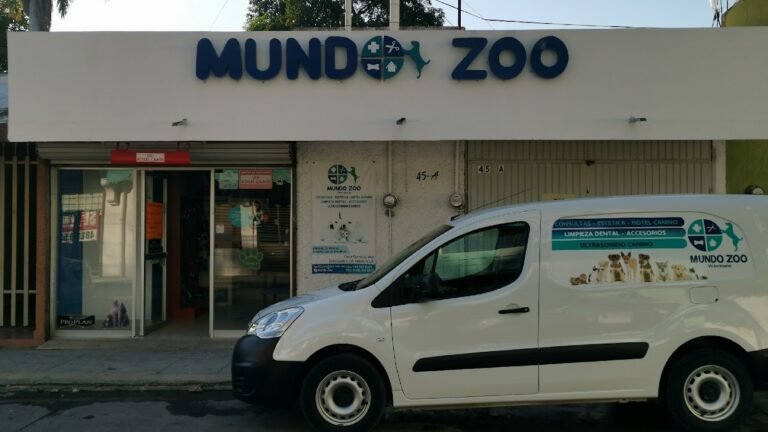 104442 veterinaria mundo zoo 768x432