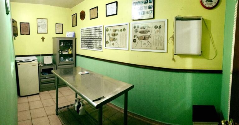 104464 lucecas veterinaria 768x401
