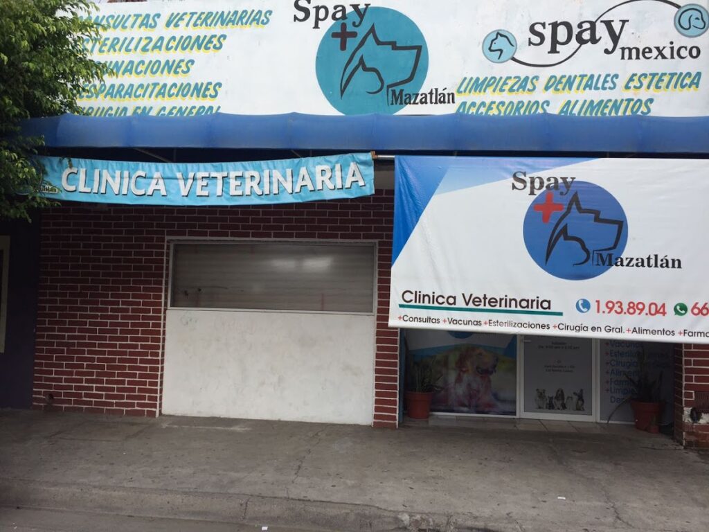 104468 clinica veterinaria spay mazatlan 1024x768