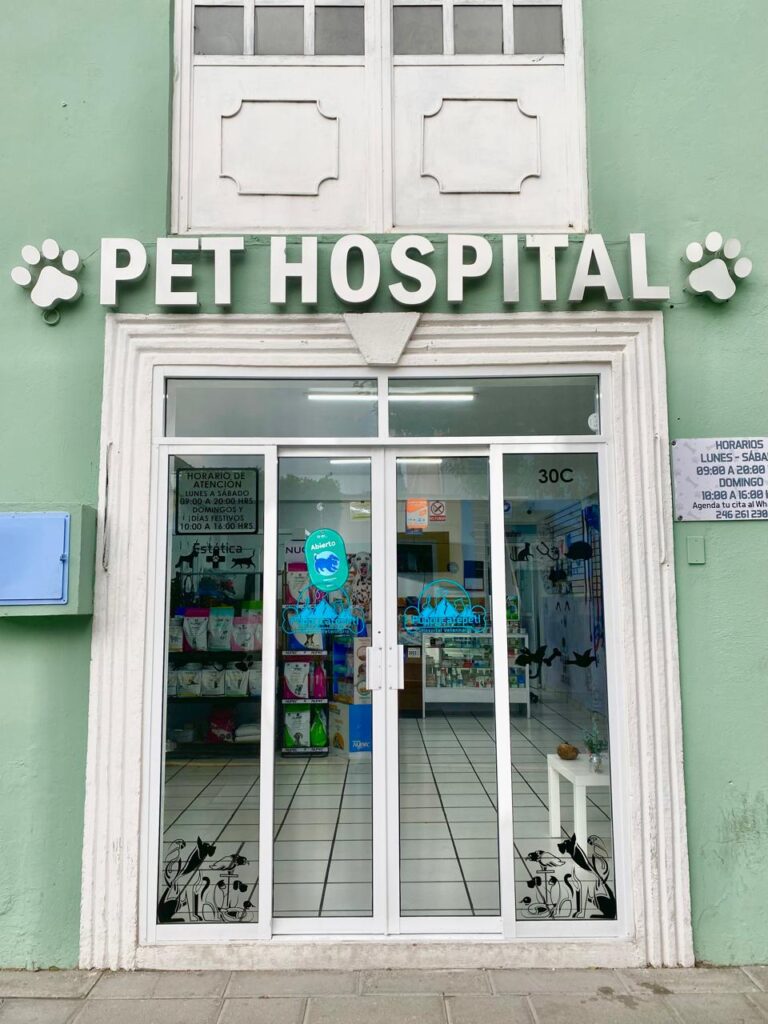 104488 puppycatepetl hospital veterinario 768x1024