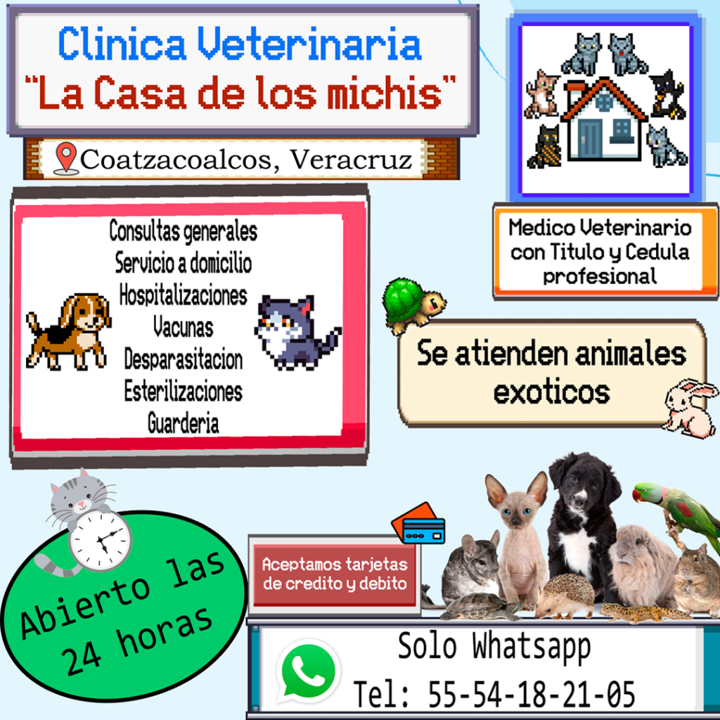 104501 clinica veterinaria 24 horas la casa de los michis 1024x1024