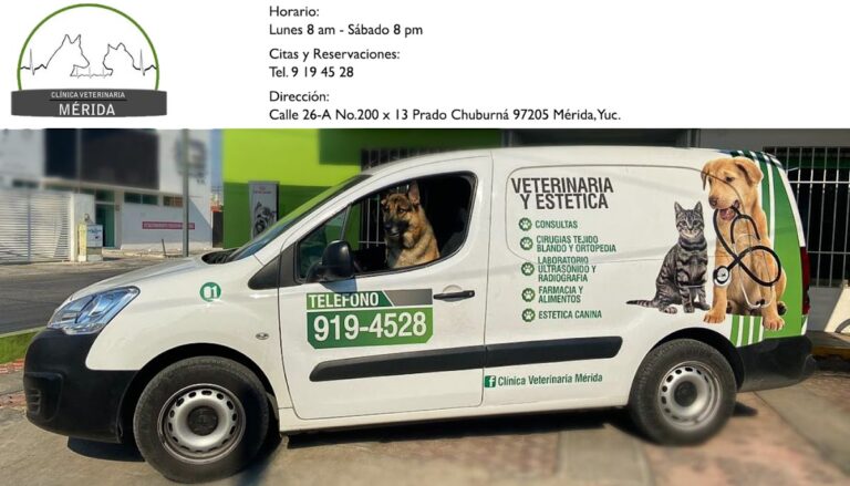 104516 clinica veterinaria merida 768x439