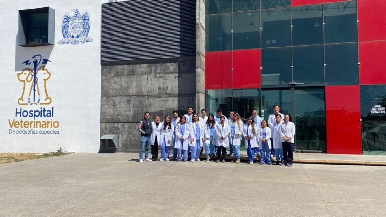 104529 hospital veterinario de pequenas especies 768x432