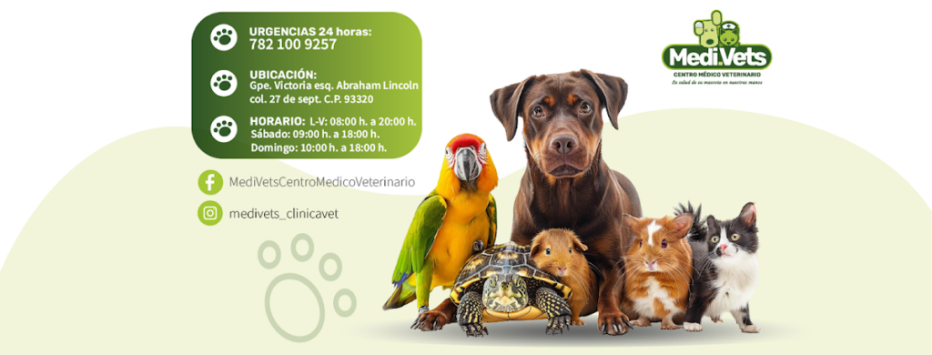 104536 centro medico veterinario medi.vets  1024x390