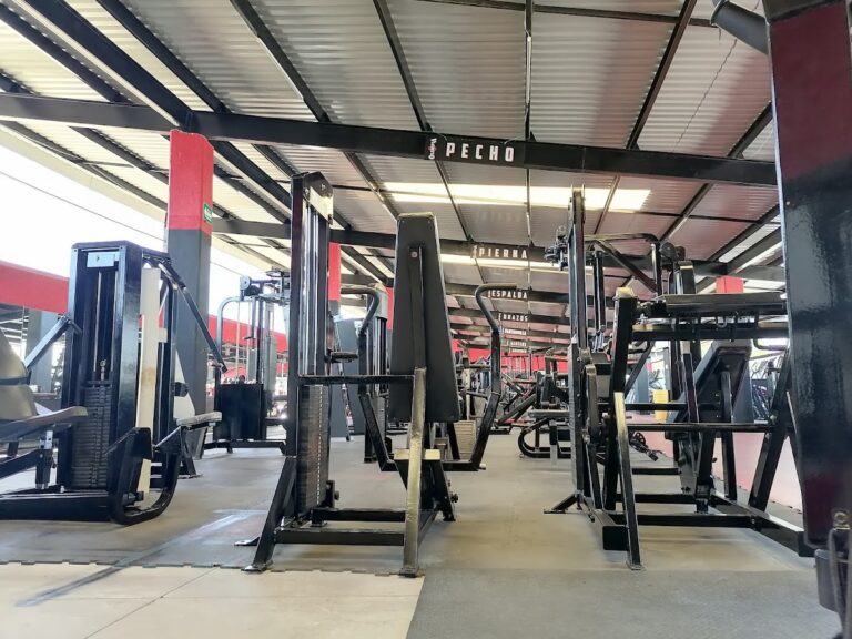 104619 gimnasio olimpia manzanillo 768x576
