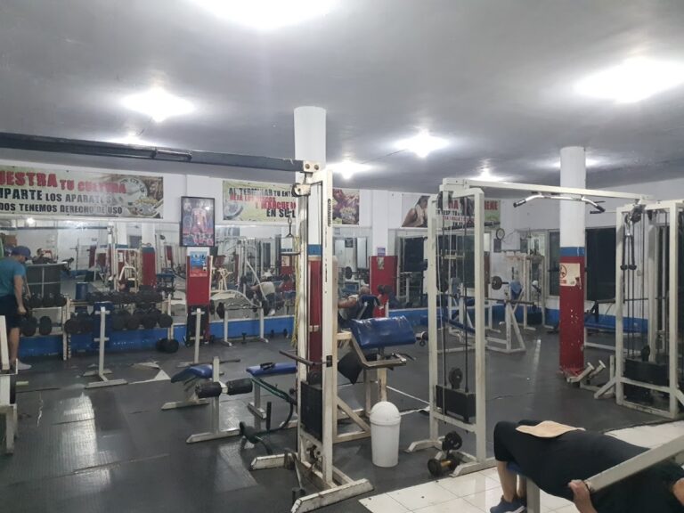 104743 new body gym 768x576