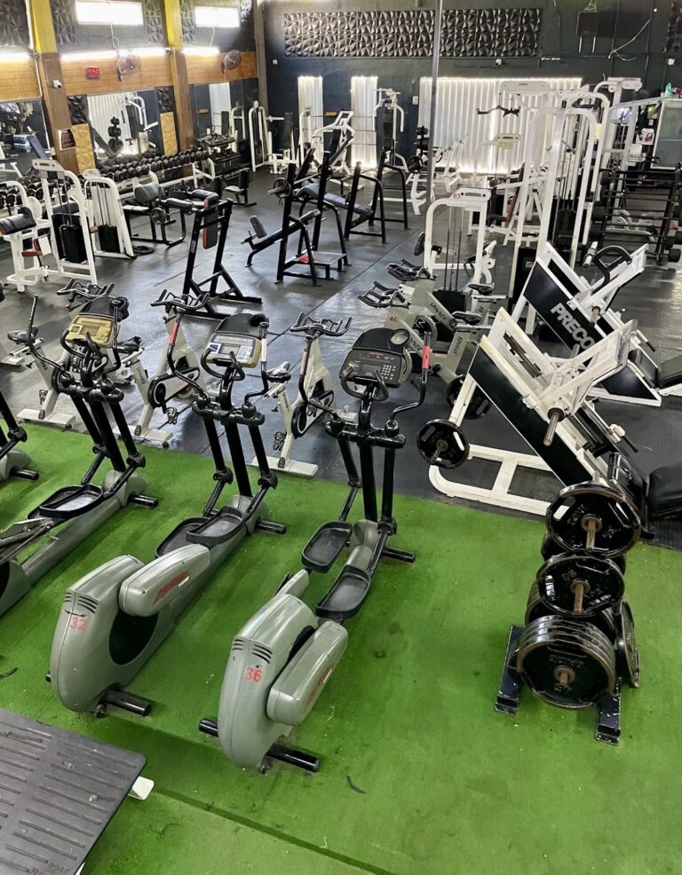 104796 pro life fitness gym 768x986
