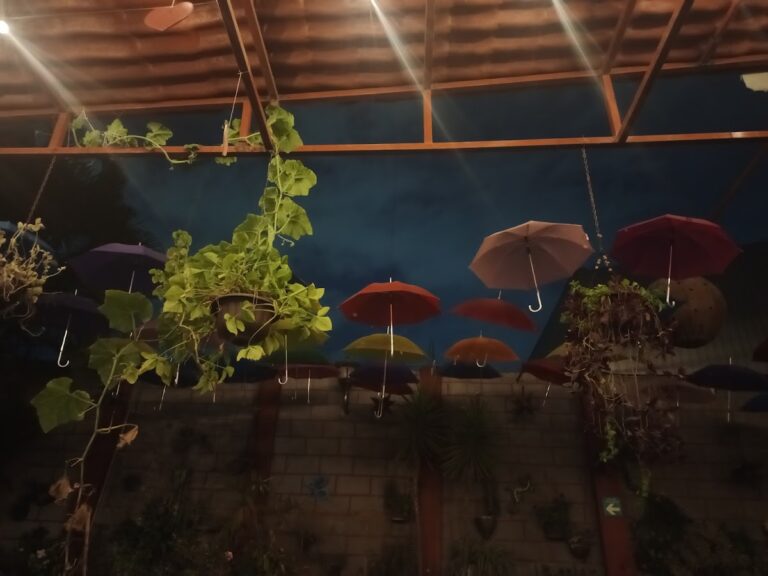 105063 temazcal spa atle xochitl 768x576