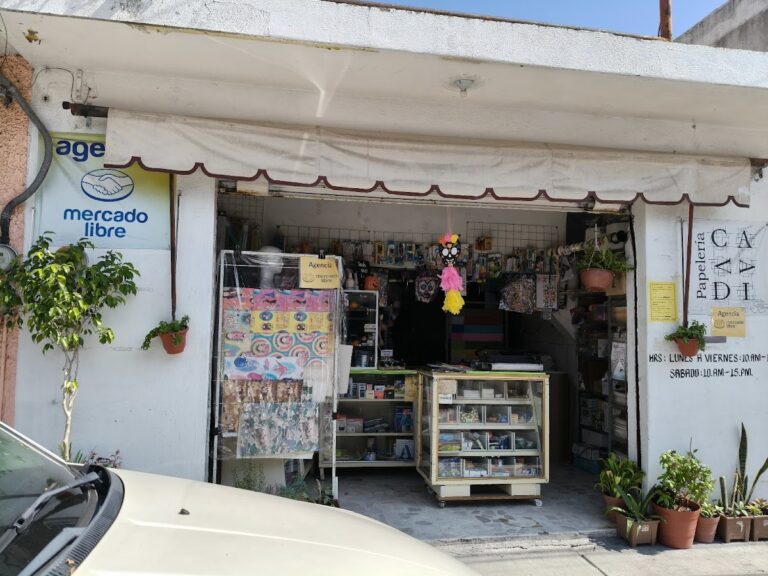 106177 papeleria y agencia mercado libre cavadi 768x576