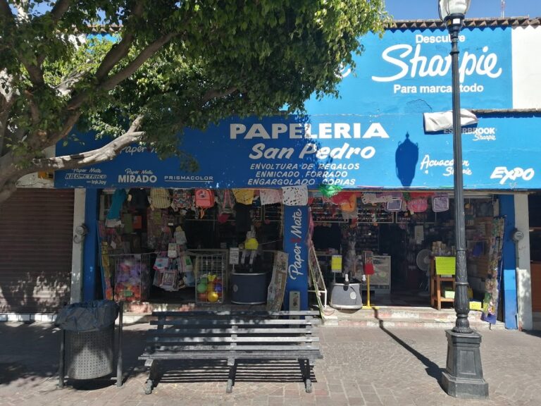 106209 papeleria san pedro 768x576