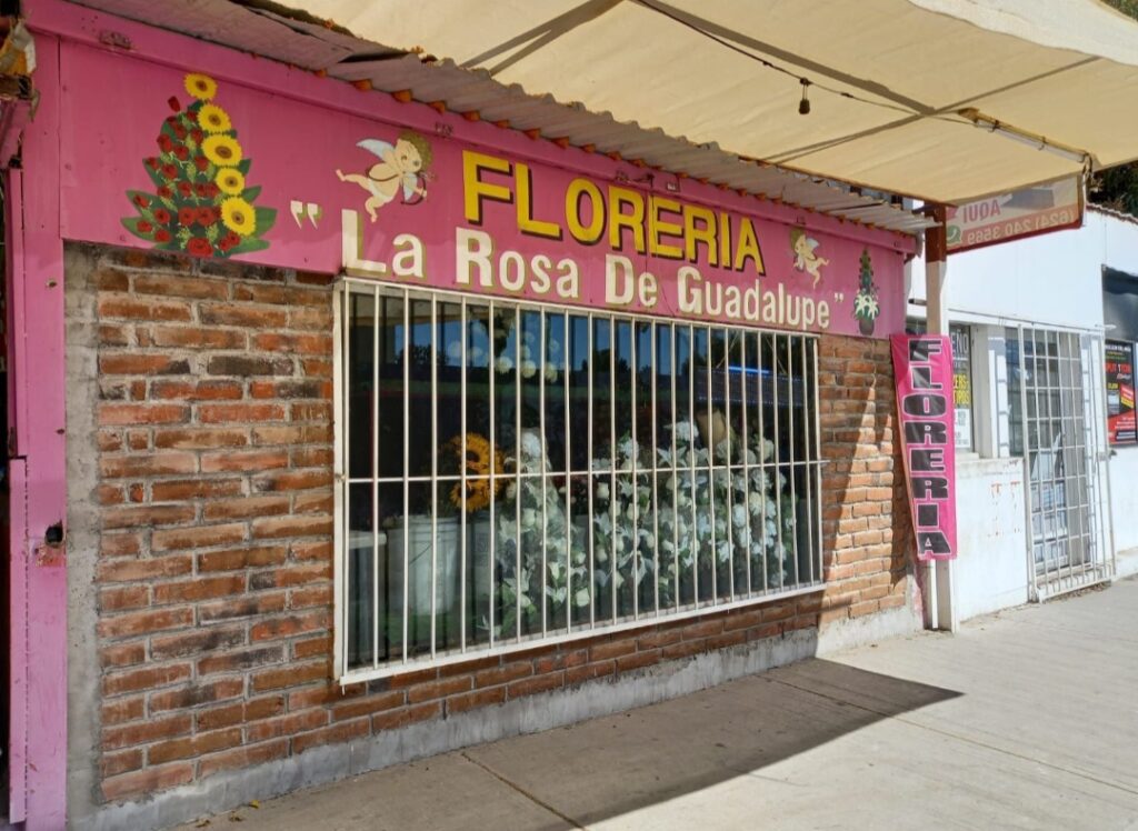 107258 floreria la rosa de guadalupe 1024x748