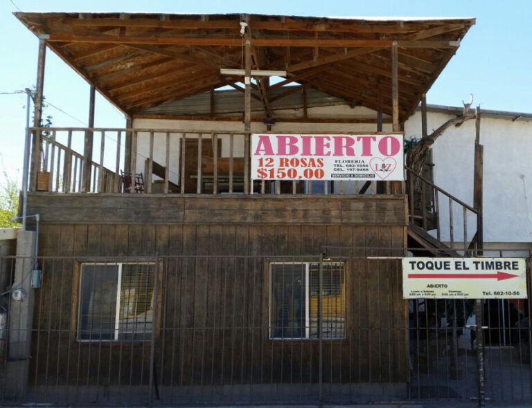 107304 floreria lis 768x590