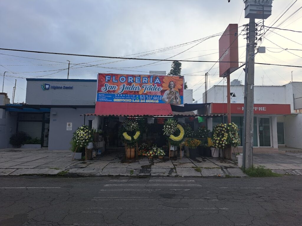 107318 floreria san judas tadeo 1024x768