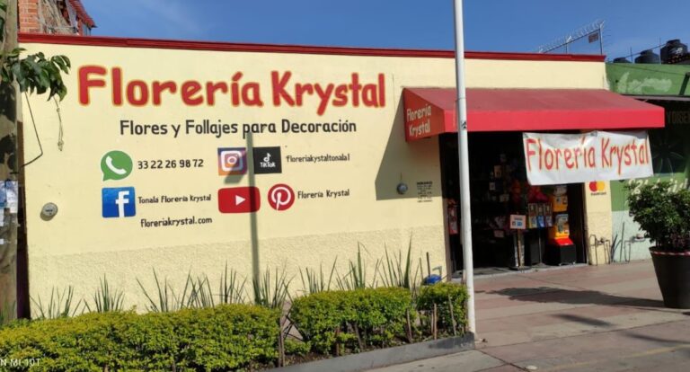 107397 tonala floreria krystal 768x414