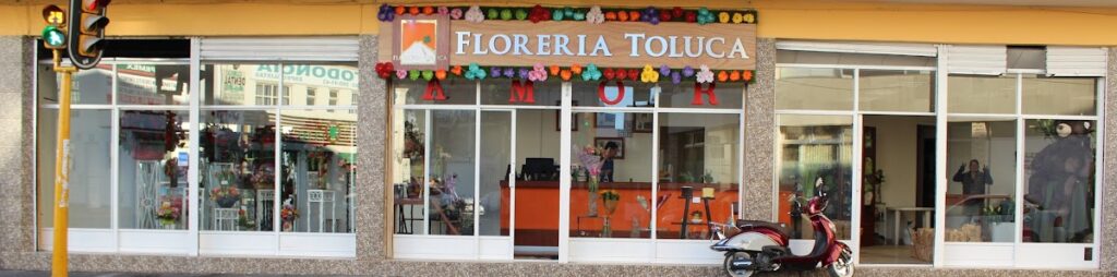 107413 floreria toluca 1024x254