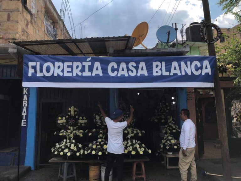 107440 floreria casa blanca 768x576