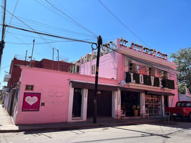 107472 floreria flores de oaxaca 768x576