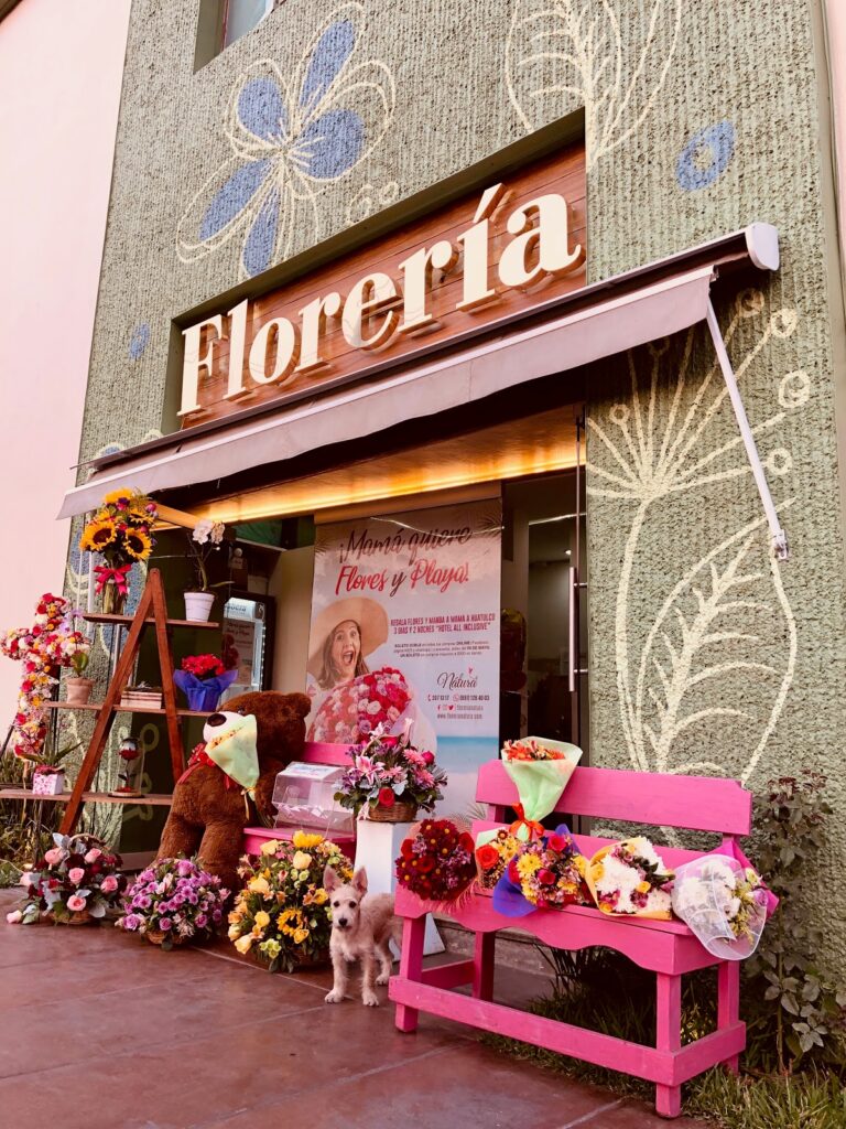 107484 floreria natura 768x1024