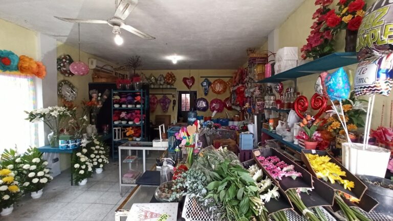 107504 floreria el 8220modelo8221 768x433