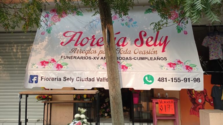 107540 floreria sely ciudad valles 768x432