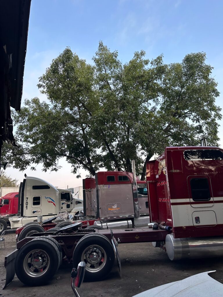 107803 taller mecanico diesel salazar 768x1024