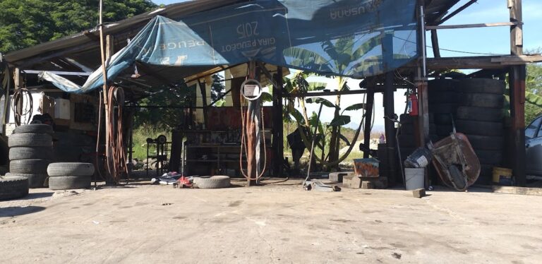 108167 llantera movil el raton veloz 768x374