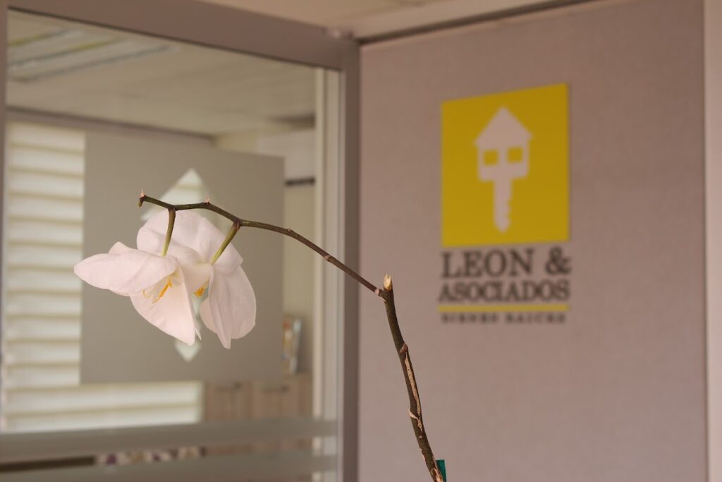109155 inmobiliaria leon asociados 1024x683