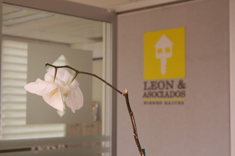 109155 inmobiliaria leon asociados 768x512