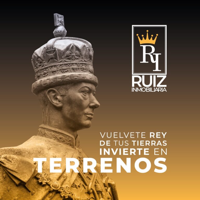 109294 ruiz inmobiliaria 768x768