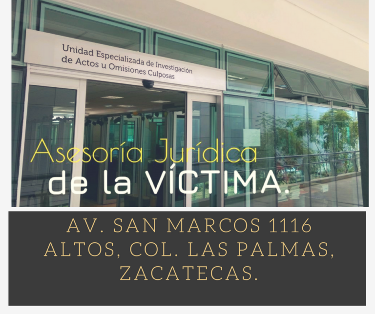 110342 abogados especialistas en zacatecas 768x644