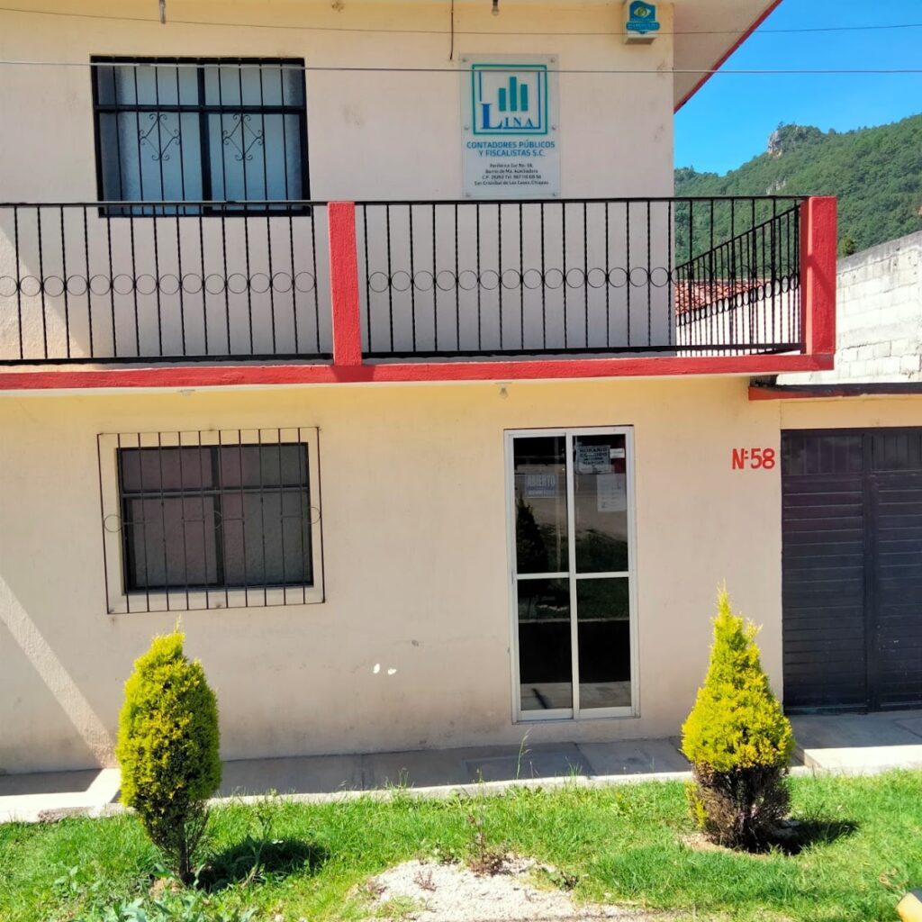 110403 lina contadores 1024x1024