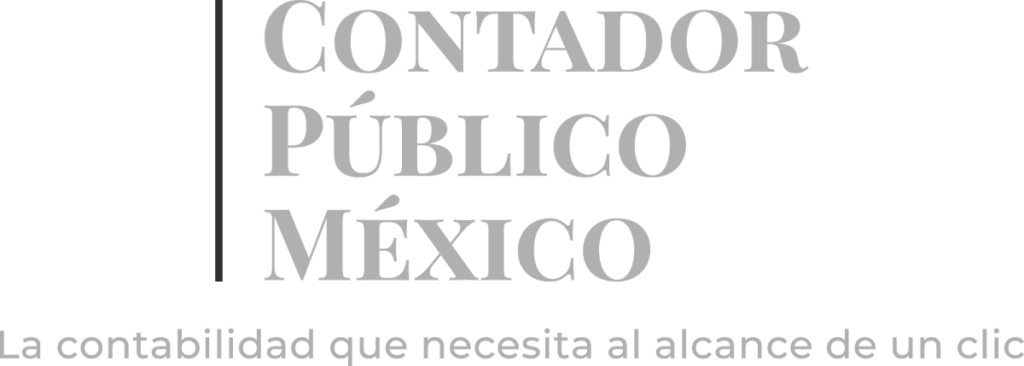 110411 contador publico mexico 1024x366
