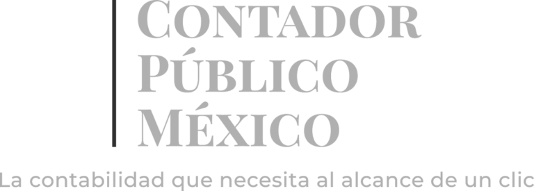 110411 contador publico mexico 768x275