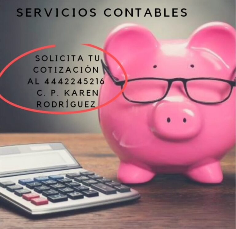110653 contador publico karen rodriguez 768x745