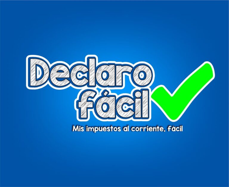 110754 declarofacil 768x629