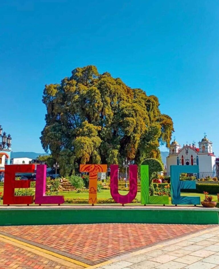 110995 tour y viajes oaxaca 768x944