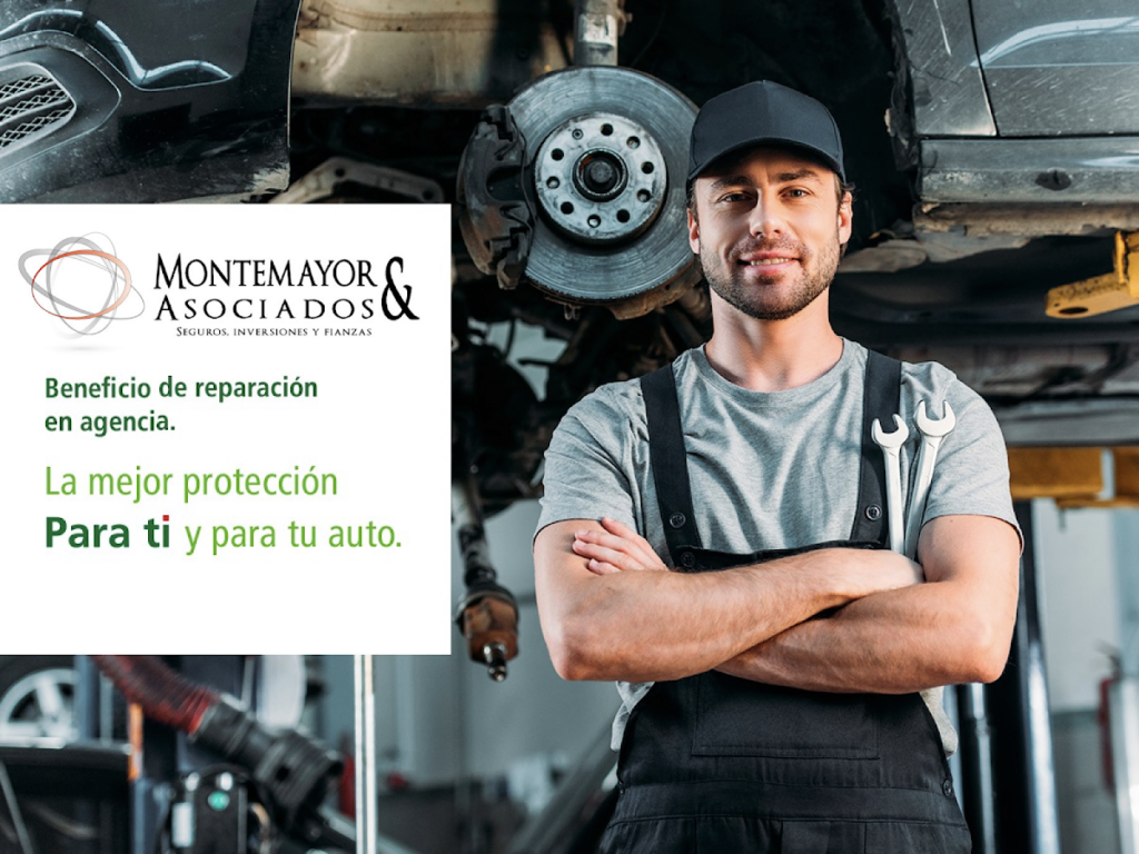 111287 montemayor y asociados seguros e inversiones 1024x768
