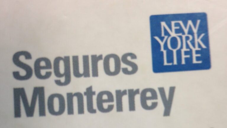 111312 seguros monterrey new york life 768x433