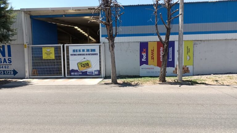 111692 envioexpress irapuato dhl fedex estafeta etc 768x432