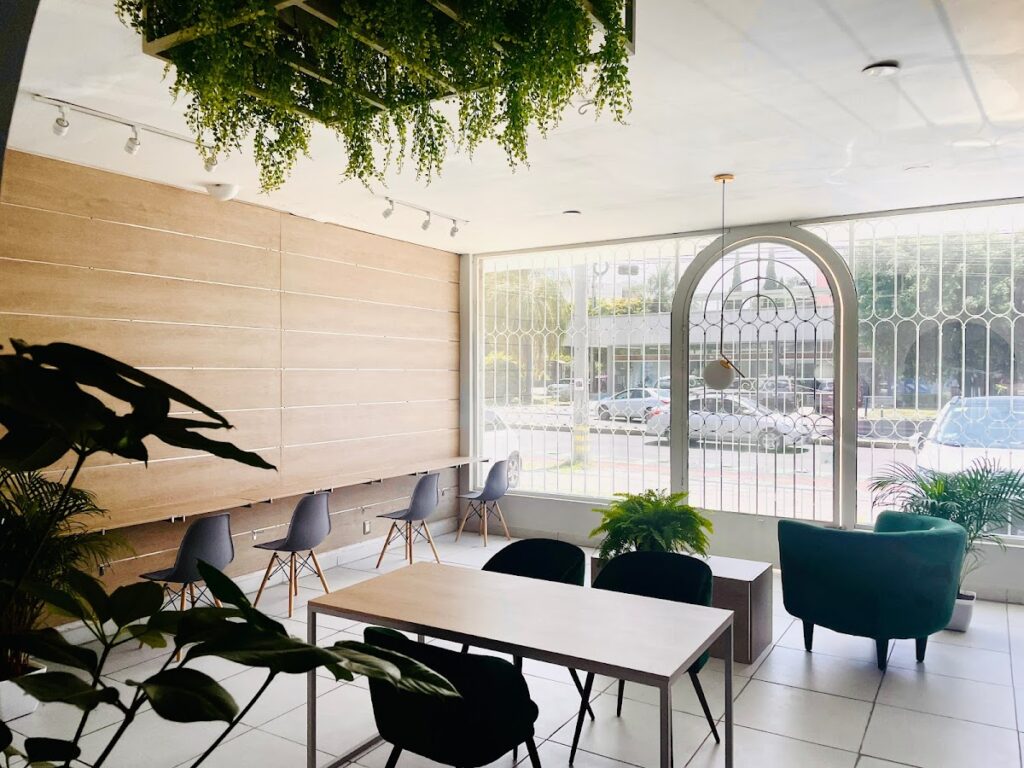 112075 coworking del bosque 1024x768