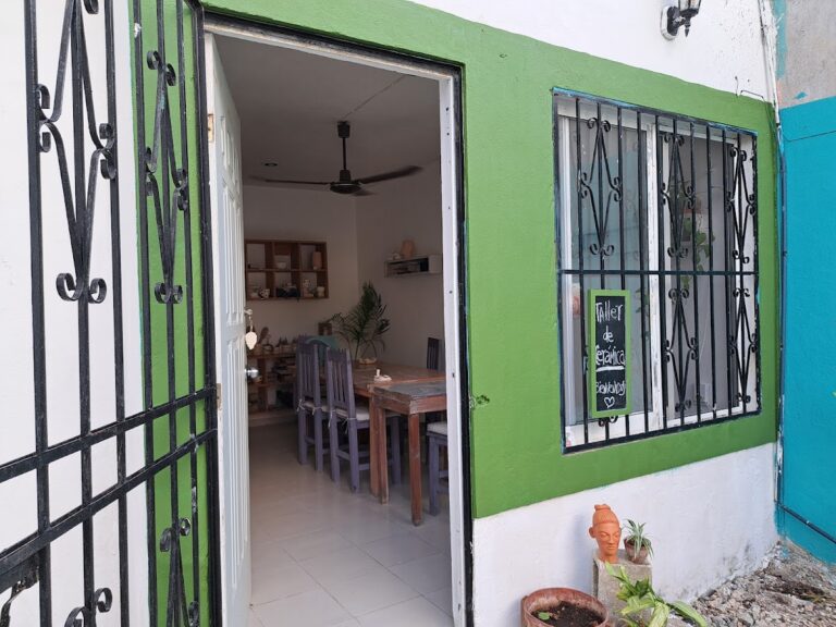 113651 cactus taller de ceramica 768x576
